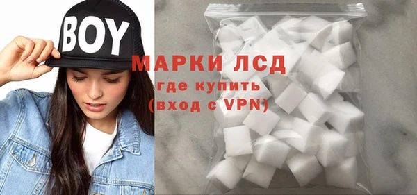 прущие грибы Алексеевка