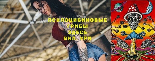 герыч Алексин