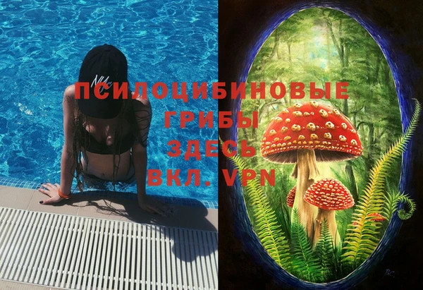 гидра Абдулино