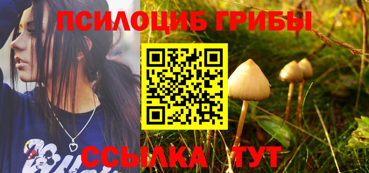 Псилоцибиновые грибы GOLDEN TEACHER Советская Гавань