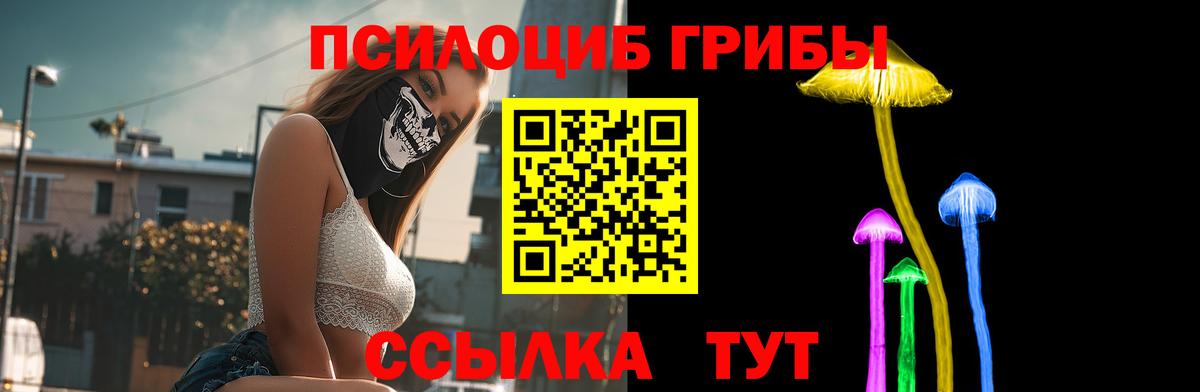 Советская Гавань  Псилоцибиновые грибы Magic Shrooms  Псилоцибиновые грибы GOLDEN TEACHER  Вход с VPN 
